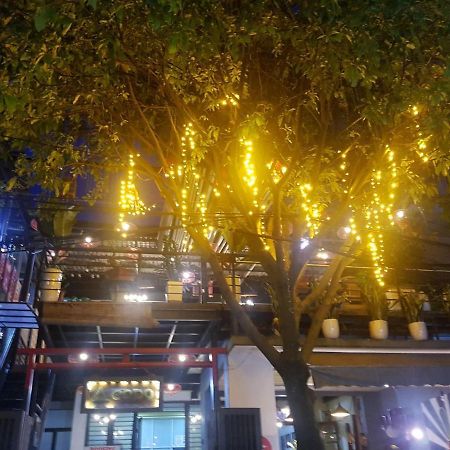Codohomestay Garden هوي المظهر الخارجي الصورة