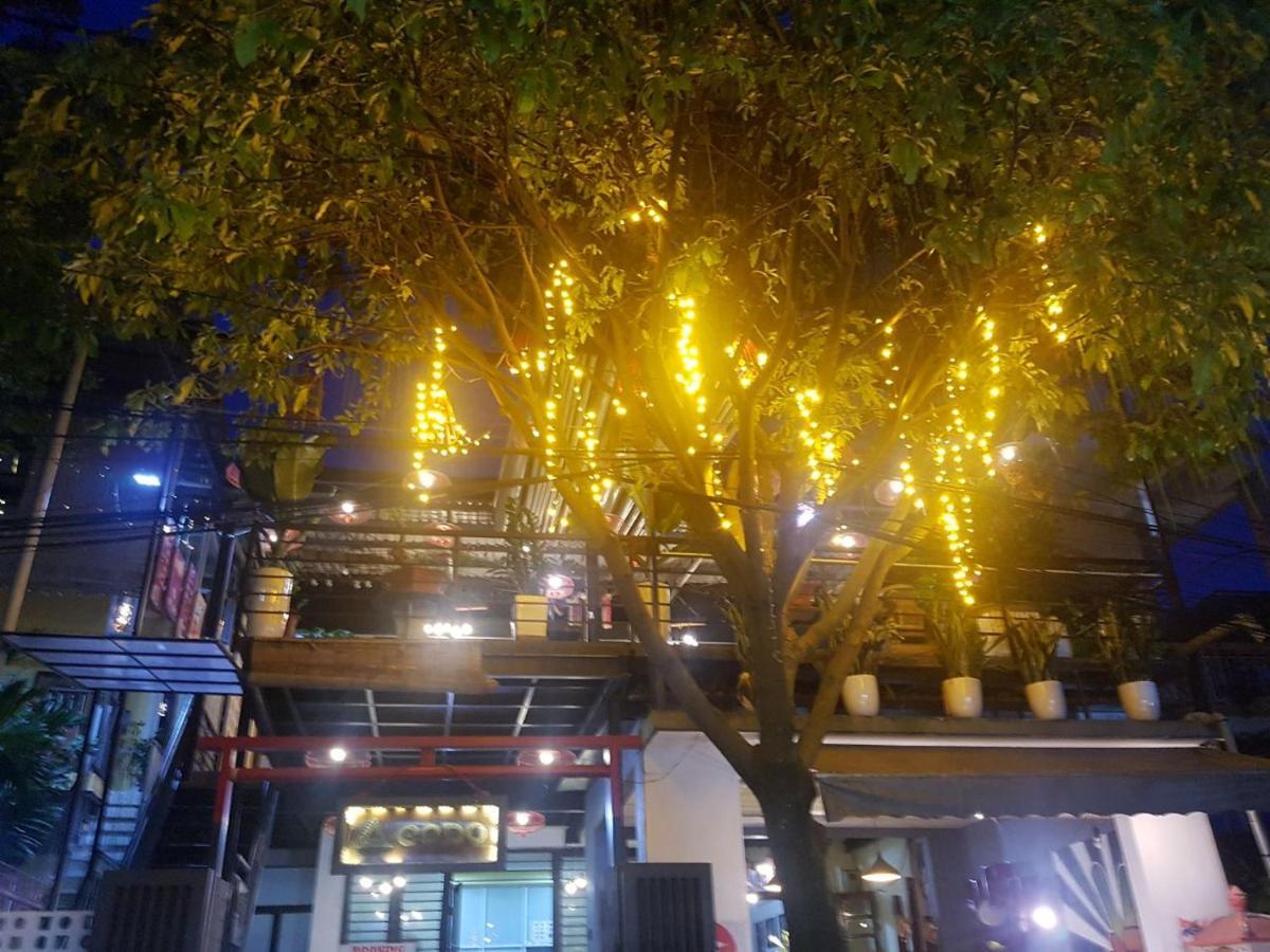 Codohomestay Garden هوي المظهر الخارجي الصورة